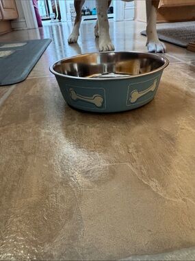 Blue Dog Bowl with Bone Motif and floor gripper ring